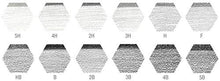 Load image into Gallery viewer, Faber Castell 9000 Design Pencil FC119064 Pack of 12