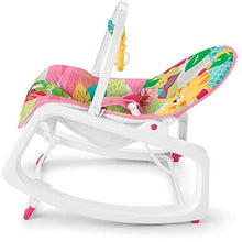 Load image into Gallery viewer, Fisher-Price Infant-to-Toddler Rocker