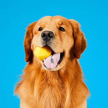Load image into Gallery viewer, Project Hive Pet Company - Hive Ball - Dog Balls - Toy for Large and Medium Breeds - Great for Fetch - Floats in Water - Durable and Tough for Aggressive chewers - Made in The USA