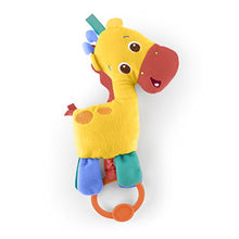 Load image into Gallery viewer, Bright Starts Zippy Zoo Activity Gym