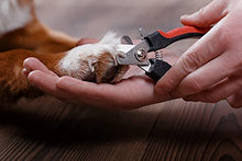 Load image into Gallery viewer, Petting Town Cat and Dog Nail Clippers with Nail File for All Kinds of Pets Made of Professional Stainless Steel, Safe and Easy to Use