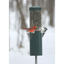 Load image into Gallery viewer, Birds Choice 431 Bird Feeder, 1.2 Gallons, Green