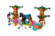 Load image into Gallery viewer, LEGO Friends Heartlake City Brick Box 41431