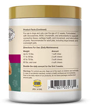 Load image into Gallery viewer, NaturVet – Glucosamine DS Plus - Level 2 Moderate Care – Supports Healthy Hip & Joint Function – Enhanced with Glucosamine, MSM & Chondroitin – for Dogs & Cats – 120 Soft Chews