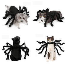 Load image into Gallery viewer, N3 2020 Updated Version Product Halloween Spider Pet Costume,Halloween Horror Simulation Plush Big Spider Wings Dress Up Funny Party for Dogs or Cats (M)