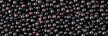 Load image into Gallery viewer, Biotta Organic Elderberry Juice - Naturally Sweetened Fruit Juice For Optimal Immune Support Function - With Immunity Boosting Elderberries - Good Source of Potassium (16.9 Fl Oz, Pk of 6)
