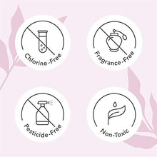 Load image into Gallery viewer, Rael Period Bundle - BPA-Free Plastic Applicator Tampon (Regular & Super, 32 Count) & Organic Cotton Cover Regular Liners (40 Count)