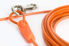Load image into Gallery viewer, IntelliLeash Products Tie Out Cable for Dogs (90 lb/30')