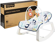 Load image into Gallery viewer, Fisher-Price Infant-to-Toddler Rocker