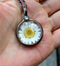 Load image into Gallery viewer, Artisan Made, Real Dry Pressed Daisy in Glass Pendant, Handmade Wildflower Jewelry, Boho Necklace April Birth Flower 2559m