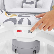 Load image into Gallery viewer, Fisher-Price 2-in-1 Deluxe Soothe 'n Play Glider