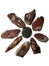 Load image into Gallery viewer, 1pc Amphibole w/Lithium Medium/Large AAA-Grade Hand Polished Phantom Angel Quartz Natural Healing Crystal Gemstone Specimen from Brazil