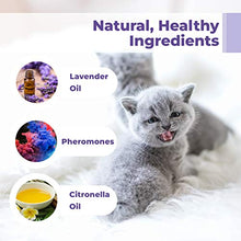 Load image into Gallery viewer, PETPLUS Cat Calming Collar for Cats | Purrfect to Reduce Your Pet’s Anxiety or Aggression | Pheromones for Cats & Cat Anxiety Relief | Cat Calming Products for Kittens | 2-Month Protection, 1 Collar
