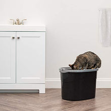 Load image into Gallery viewer, IRIS USA Top Entry Cat Litter Box with Cat Litter Scoop TECL-20