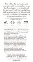 Load image into Gallery viewer, Burt's Bees Peach and Willow Bark Deep Pore Exfoliating Facial Scrub, Package May Vary, 4 Oz