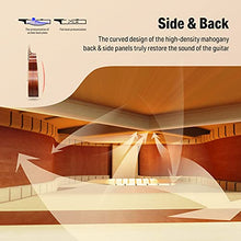 Load image into Gallery viewer, Donner Acoustic Guitar Beginner Full Size 41 Inch Soild Spruce Top Cutaway Grand Auditorium Adult Starter Bundle Kit with Gig Bag Strap Tuner Capo Pickguard String 4 Picks Cloth Right Hand