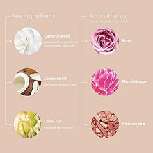 Load image into Gallery viewer, Pureology Color Fanatic Leave-in Conditioner Hair Treatment Detangling Spray | Protects Hair Color From Fading | Heat Protectant | Vegan, 6.76 Fl Oz (Pack of 1)