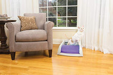 Load image into Gallery viewer, PetSafe PAL00-14242 ScoopFree Original Self-Cleaning Cat Litter Box - Automatic with Disposable Tray and Non-Clumping Crystal Litter - Purple