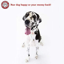 Load image into Gallery viewer, Bagel Pet Dog Bed By Majestic Pet Products