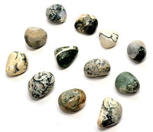 Load image into Gallery viewer, White & Green Chalcedony Agate Gemstone Pebbles Polished Natural Multicolor Crystal Mineral Tumbled Stone Cabochon Specimen Cabs - India (5PCS)