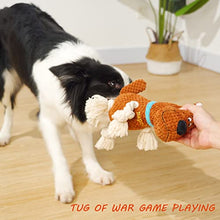 Load image into Gallery viewer, Napojoy Plush Dog Toy, Stuffed Dog Toys for Small Medium Large Dogs, Squeaky Dog Chew Toy with Crinkle Paper, Outdoor Puppy Toys Interactive Tough Rope Toys