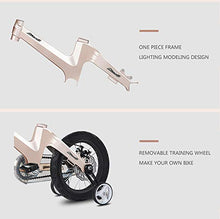 Load image into Gallery viewer, NiceC BMX Kids Bike with Dual Disc Brake for Boy and Girl 12-14-16-18 inch Trainin sg Wheels (14" Champagne)