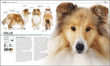 Load image into Gallery viewer, The Complete Dog Breed Book, New Edition