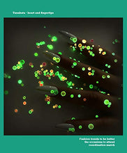 Load image into Gallery viewer, 8 Pack 1988 pcs Luminous Crystal Nail Art Rhinestone Decorations 3D Glitter Diamond Jewelly Glow In The Dark Rhinestone Decorations Nail Art DIY Crafts Phones Clothes Shoes Jewelry Bag (Forest Fairy)