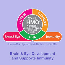 Load image into Gallery viewer, Mama Bear Complete Comfort Baby Formula Powder with Iron, Non-GMO, 2'-FL HMO, DHA, Lutein and Vitamin E, Easy to Digest Proteins, 22.5 Ounce (Pack of 4)