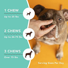 Load image into Gallery viewer, Natural Dog Company Skin & Coat Chews | Salmon & Peas Flavor | Dog Vitamins and Supplements for Healthy Skin and Coat | Itch Relief for Dogs with Allergies | with Biotin, Vitamin E, and Omega 3