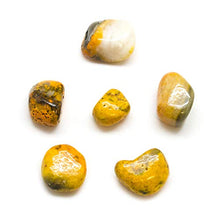 Load image into Gallery viewer, Bumble Bee Jasper Tumbled Stone Set (Medium)