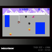 Load image into Gallery viewer, Blaze Evercade Intellivision Cartridge 1 - Nintendo DS