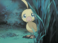 Load image into Gallery viewer, Princess Tutu