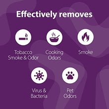 Load image into Gallery viewer, Home Sanitizer Solutions Ozone Generator for Home and Commercial Use - Sterilizes Air with Sanitizing Effect - 10,000mg/h, O3 Air Purifier and Ionizer Machine