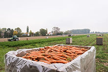 Load image into Gallery viewer, Biotta Organic Carrot Juice - 100% Juice Superfood For Optimal Eye Health, Immune Support & Muscle Recovery - Excellent Source of Vitamin A & Good Source of Potassium - (16.9 Fl Oz, Pk of 6)