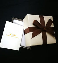 Load image into Gallery viewer, COAI Gold Plated Stainless Steel Obsidian Stone Bar Necklace