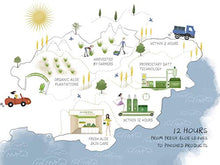 Load image into Gallery viewer, ALODERMA Aloe Brightening Skin Cream with 80% Pure Aloe Refines Skin Texture, Evens Skin Tone, Diminishes Appearance of Fine Lines & Wrinkles, 50g