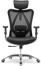 Load image into Gallery viewer, Sihoo Ergonomics Office Chair Computer Chair Desk Chair, Adjustable Headrests Chair Backrest and Armrest's Mesh Chair (Black)