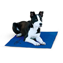Load image into Gallery viewer, K&H Pet Products Coolin' Pet Pad Large Blue 20" x 36"