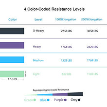 Load image into Gallery viewer, A AZURELIFE Resistance Bands, Professional Non-Latex Elastic Exercise Bands, 5 ft. Long Stretch Bands for Physical Therapy, Yoga, Pilates, Rehab, at-Home or The Gym Workouts, Strength Training