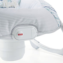Load image into Gallery viewer, Fisher-Price Woodsy Wonders 2-in-1 Deluxe Cradle 'n Swing