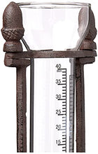 Load image into Gallery viewer, Kalalou Rustic Cast Iron Decorative Rain Gauge Stake, Acorn Rain Gauge, Brown, 32 inches