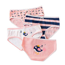 Load image into Gallery viewer, Nightaste Little Girl's Cotton Brief Panties Assorted 12-Pack Underwear for Toddler Baby Kids fits 2-12 Years (2-4 Years, Multi1)