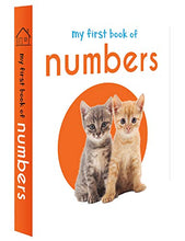 Load image into Gallery viewer, My First Library : Boxset of 10 Board Books for Kids