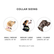 Load image into Gallery viewer, Whistle GO/GO Explore/Twist & Go Pet Collars/See Me Pink/Medium-Large