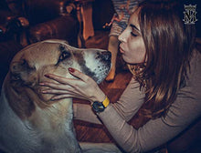 Load image into Gallery viewer, SHENGKE Minimalist Women Watch Ultra-Thin Leather Strap Fashion Quartz Ladies Watches Waterproof Yellow