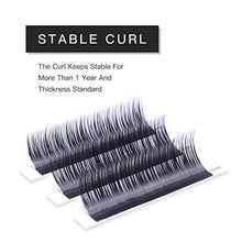 Load image into Gallery viewer, TDANCE Premium D Curl 0.18mm Thickness Semi Permanent Individual Eyelash Extensions Silk Classic Lashes Professional Salon Use Mixed 14-19mm Length In One Tray (D-0.18,14-19mm)