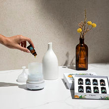Load image into Gallery viewer, Cliganic Organic Essential Oils Set (Top 5) - 100% Pure Natural - Aromatherapy, Candle Making - Peppermint, Lavender, Eucalyptus, Lemongrass & Orange