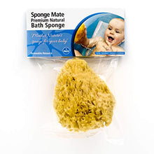 Load image into Gallery viewer, Natural Baby Bath Sea Sponge for Bathing - Grown in The U.S.A. - 4 Inch Super Soft Bath Sponge for Newborn Baby Infant