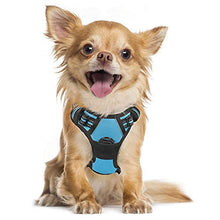 Load image into Gallery viewer, rabbitgoo Dog Harness, No-Pull Pet Harness with 2 Leash Clips, Adjustable Soft Padded Dog Vest, Reflective No-Choke Pet Oxford Vest with Easy Control Handle for Medium Dogs, Green, M